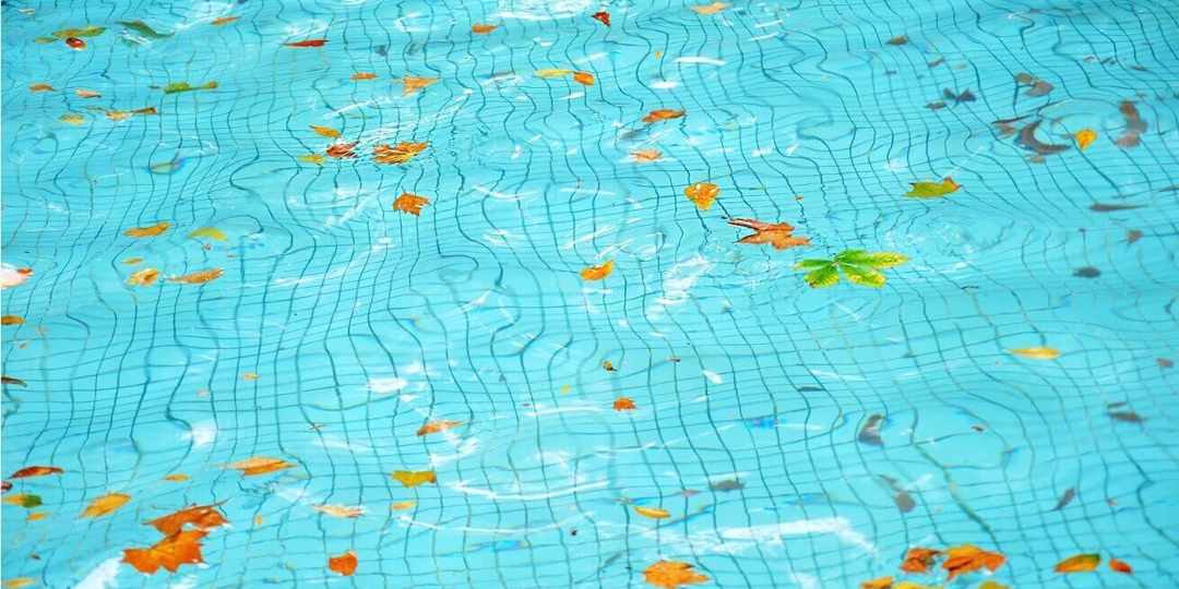 clean leaves out of pool